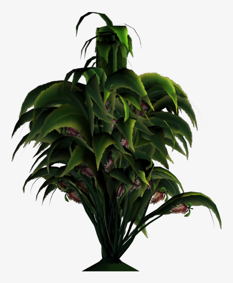 Added By Yorik On - Houseplant, transparent png download