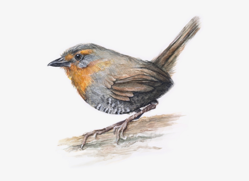 Bleed Area May Not Be Visible - Painting, transparent png download