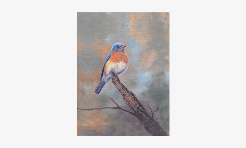 Bluebird Perch - Eastern Bluebird, transparent png download