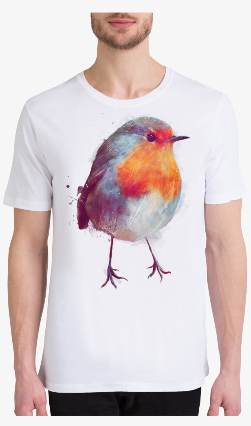 Vögel Kinder Alu-dibond Bilder Winter Robin Von Juniqe, transparent png download