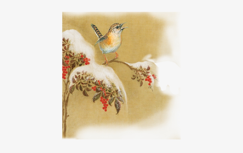 Carolina Wren, transparent png download