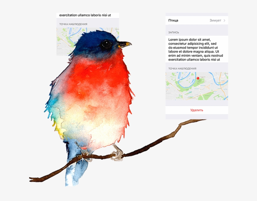 Page Spravochnik 2 02 Page Spravochnik 2 03 Page Spravochnik - Portable Network Graphics, transparent png download