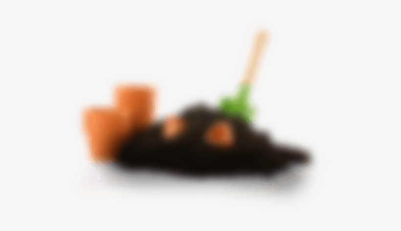 Close-up, transparent png download