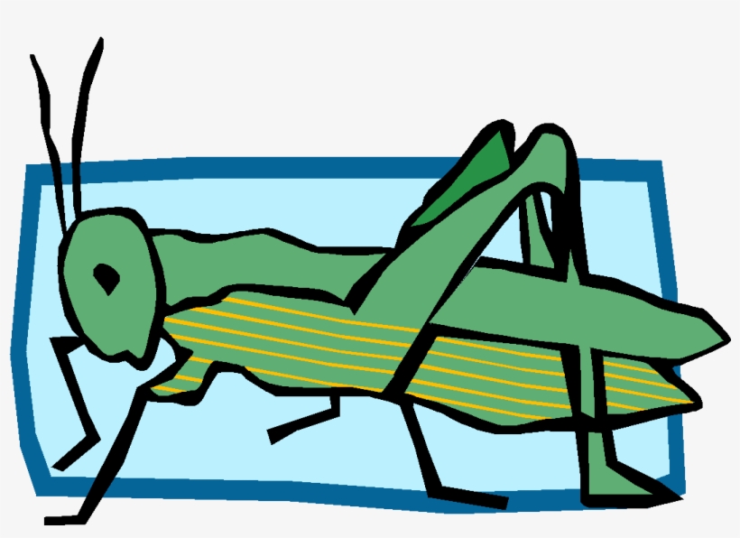 The Transfer Of Energy From The Sun To Producer To - Primary Consumer Clipart, transparent png download