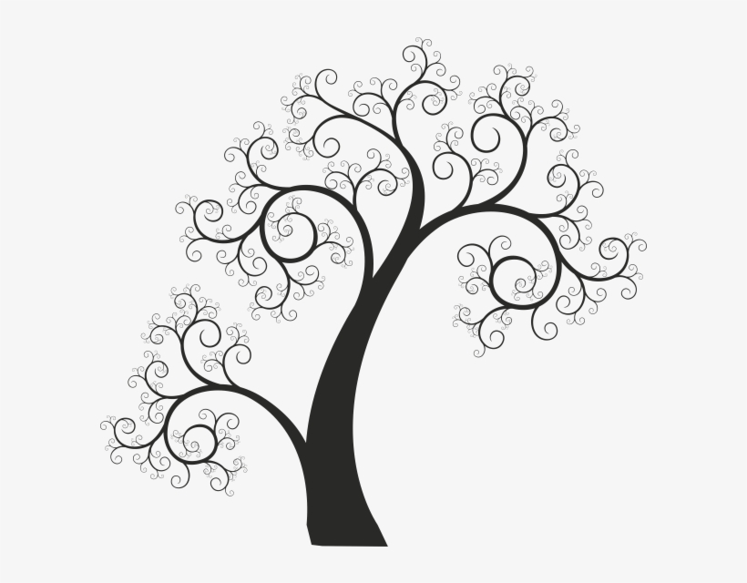 600 X 600 5 - Bocetos De Arboles Sin Hojas, transparent png download