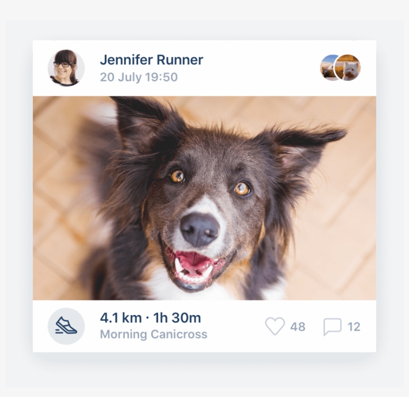 Get Social And Stay In Touch - Companion Dog, transparent png download