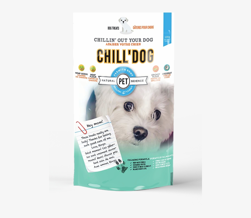 Chill'dog - Companion Dog, transparent png download