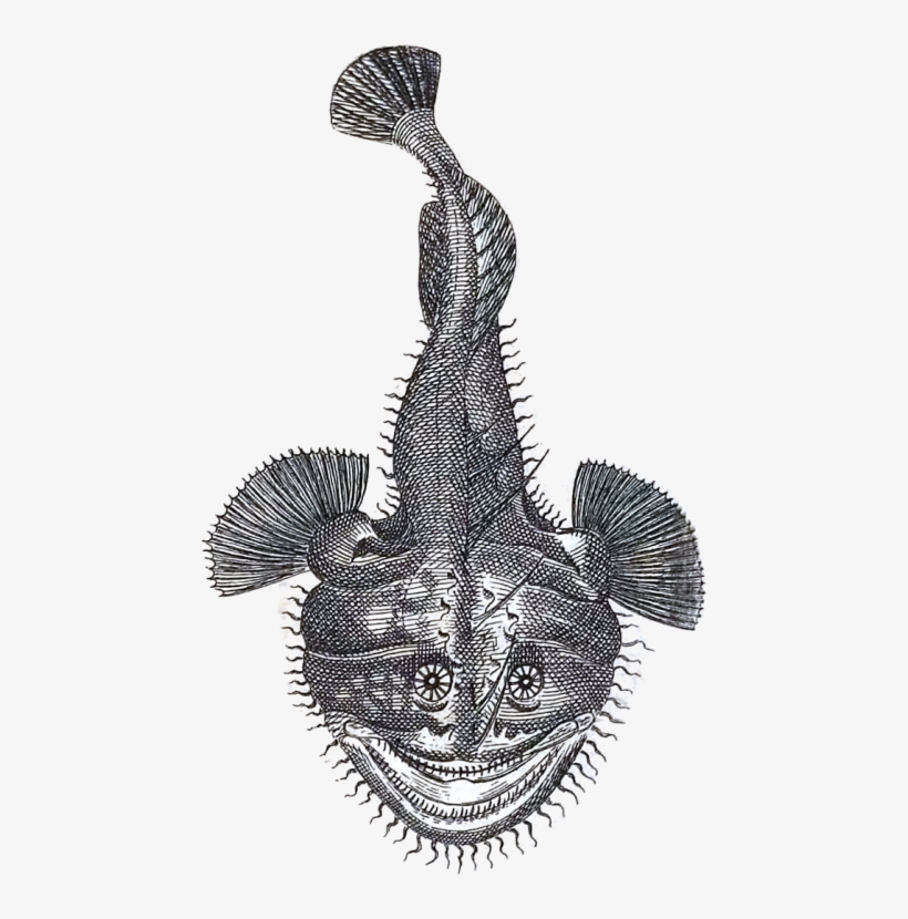 456 X 750 1 - Illustration, transparent png download