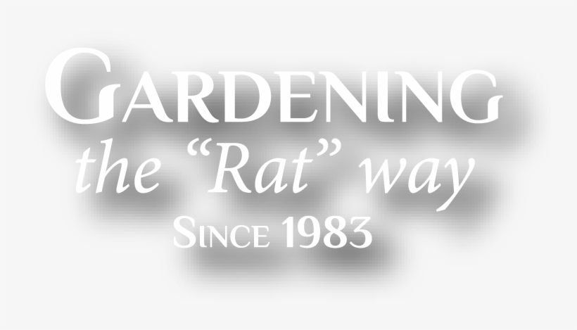 Calligraphy, transparent png download