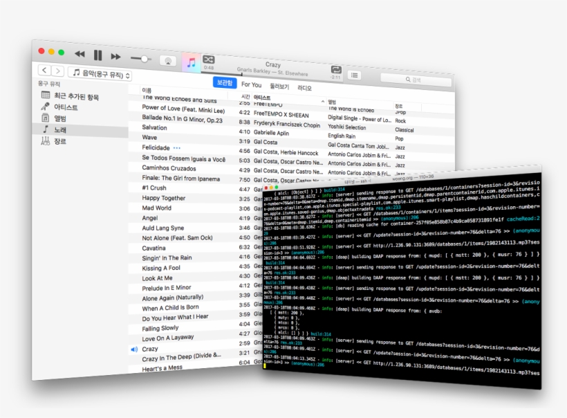 Running Canary And Itunes - Computer Program, transparent png download