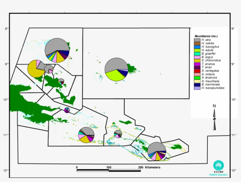 Milne Bay Showing Total Abundance Of Commercial Holothurians - Diagram, transparent png download