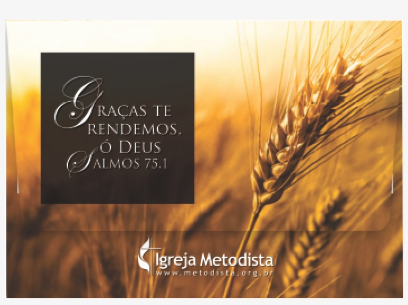 Harvest Is Plentiful But The Workers, transparent png download