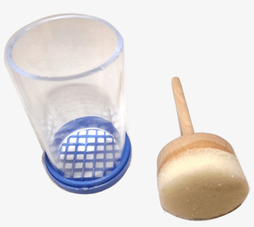 Queen Plunger Marker - Toothbrush, transparent png download