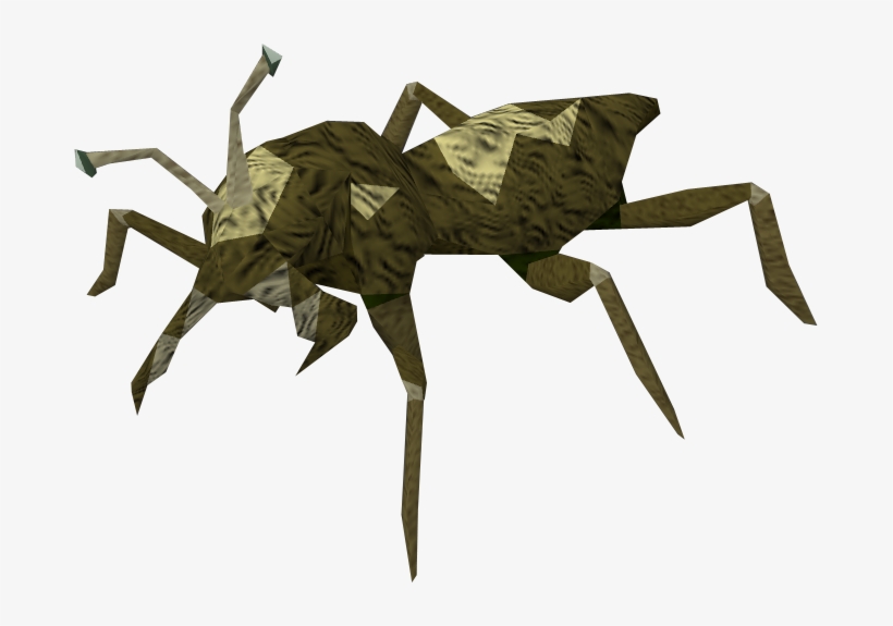 Spider, transparent png download