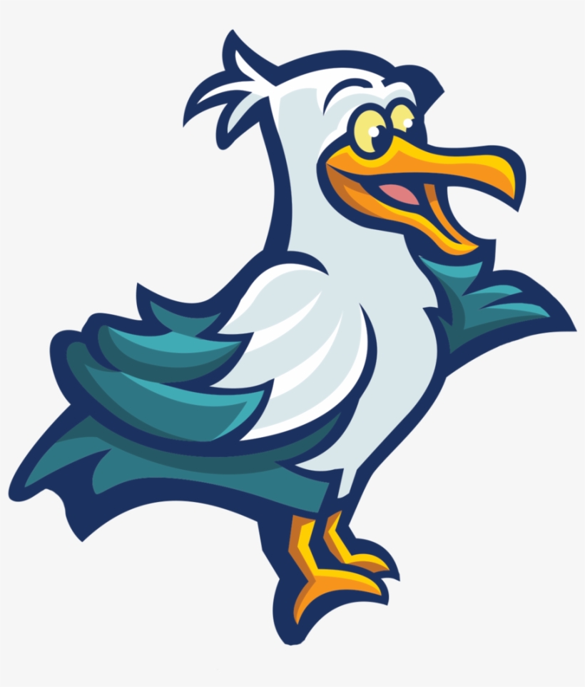 Bird, transparent png download