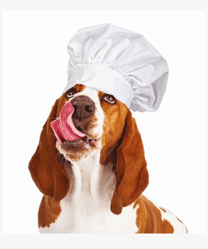 Dog Wearing Chef Hat - Dog Yawns, transparent png download