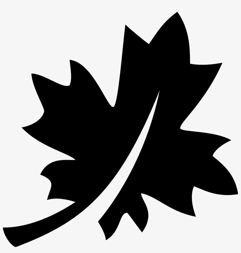 Maple Leaf Icon - Infographic Clinical Trial Statistics, transparent png download