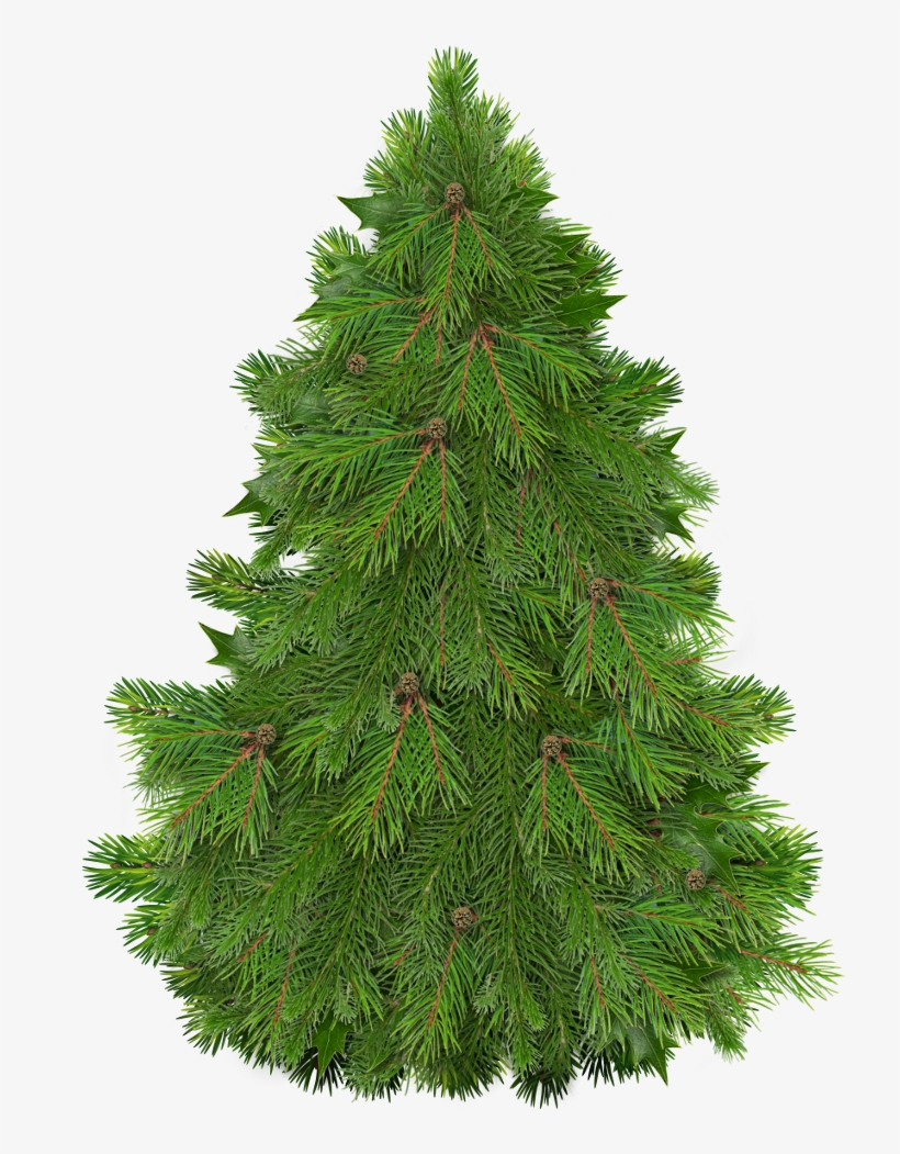 Happy Christmas Christmas Tree Clipart, Christmas Trees, - Christmas Tree, transparent png download