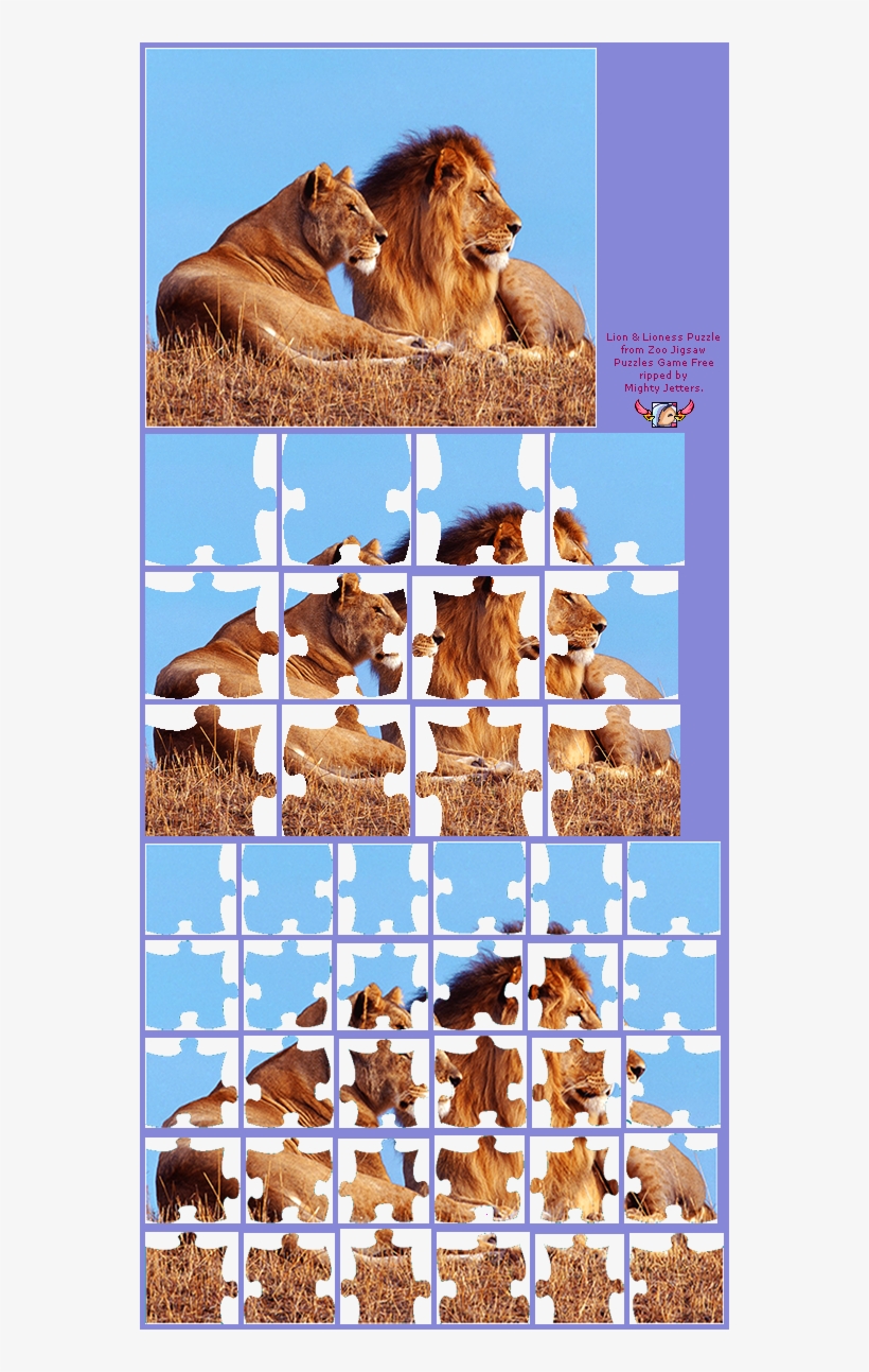 Lion & Lioness - Lion And Lioness, transparent png download