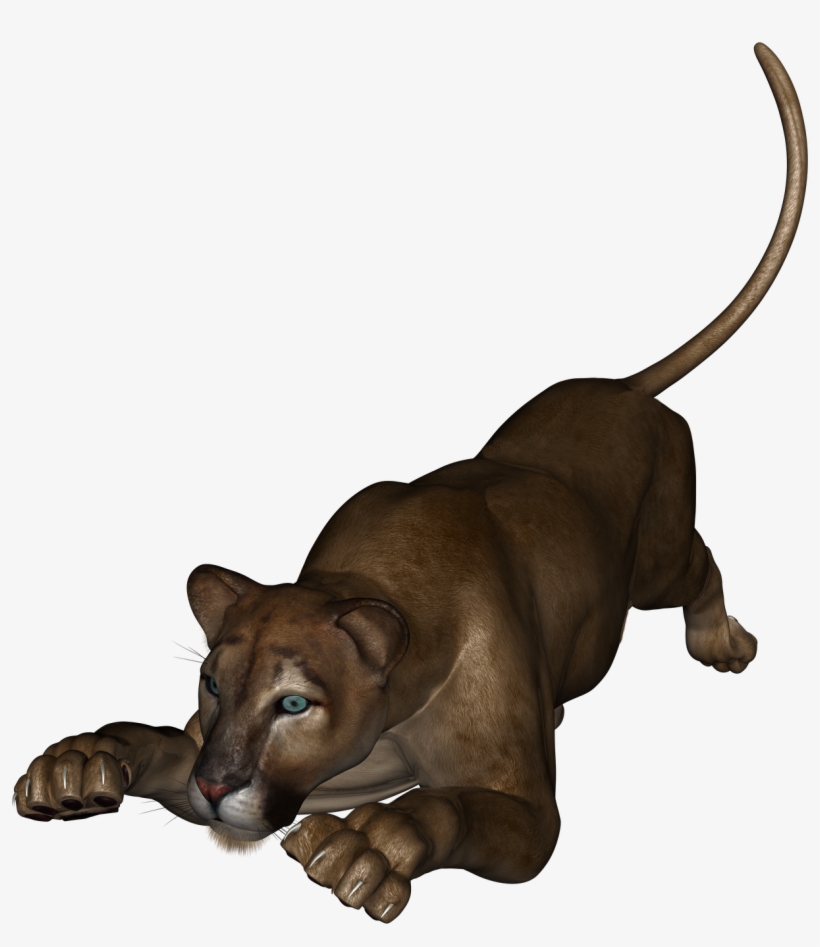 This Is The Lioness From Daz Studio - Companion Dog, transparent png download