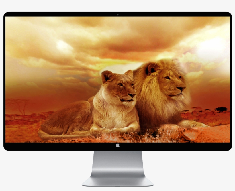 Score 50% - Importa Mensagem Do Dia De Deus Para Você, transparent png download