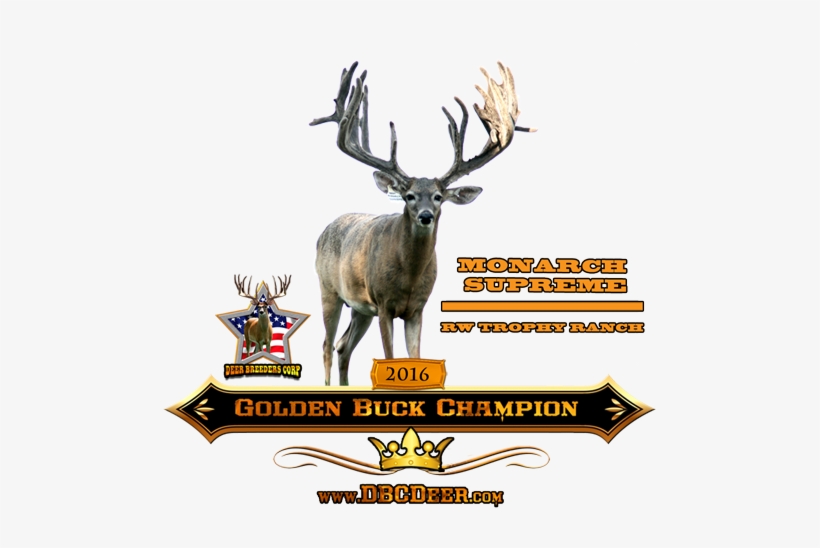 Click Here To Learn More About Monarch Supreme Of Rw - Antler, transparent png download
