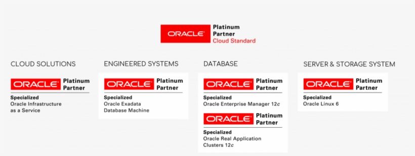 In Addition To Incident Management Service, Our Database - Oracle Platinum Partner, transparent png download