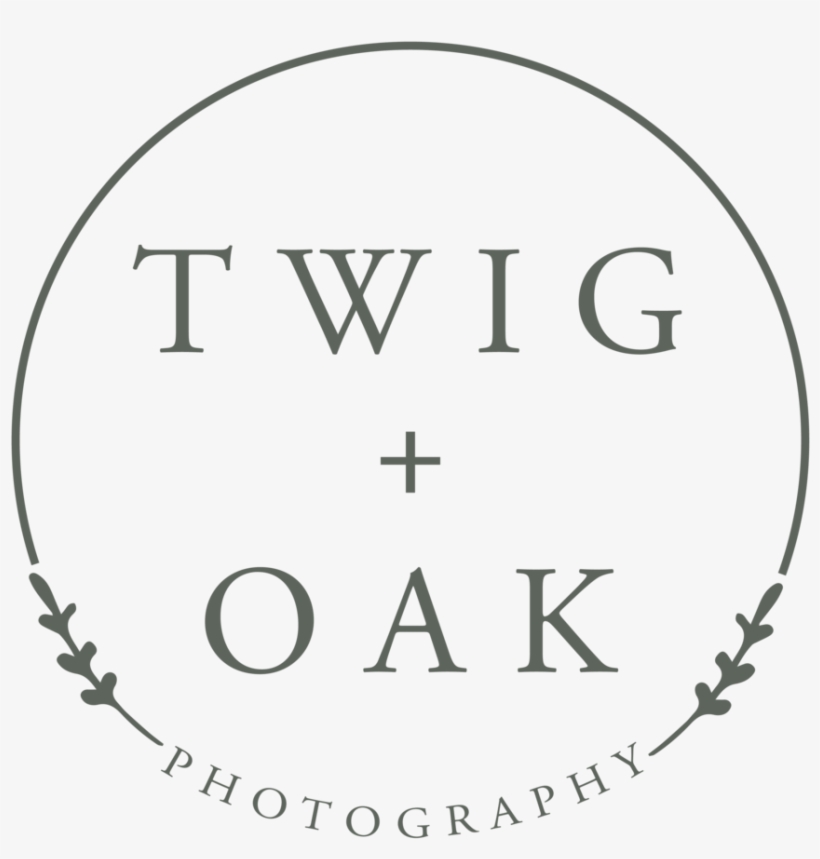 Twig Png, transparent png download