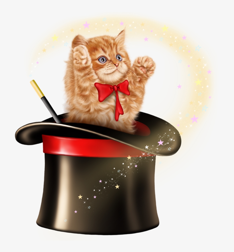 Cat In Magic Hat, transparent png download