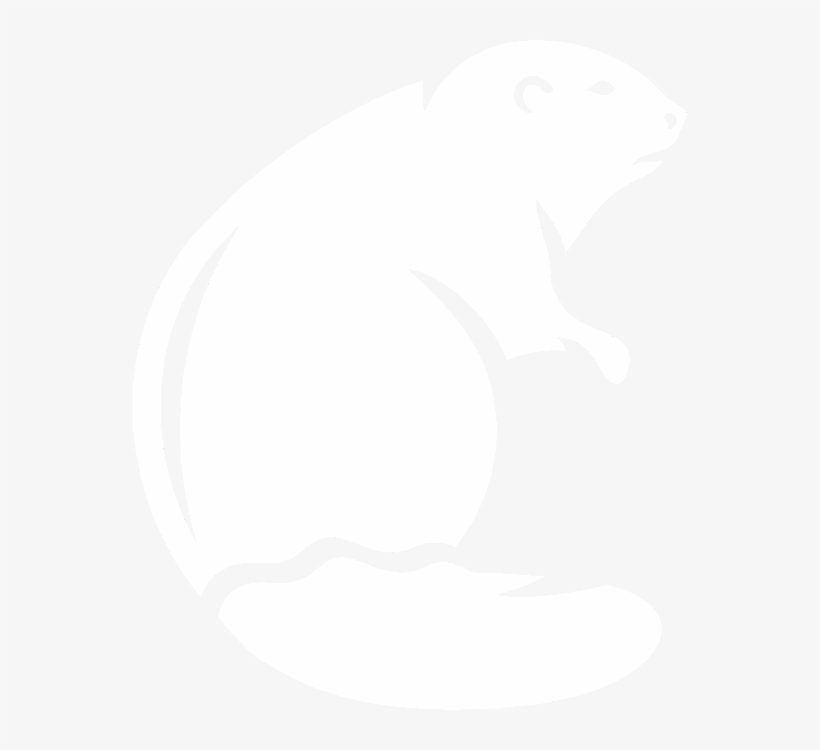 Beaver - Illustration, transparent png download