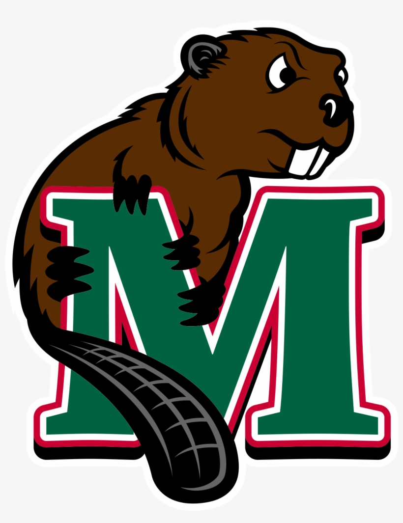 Minot State Beavers - Minot State University Beavers, transparent png download