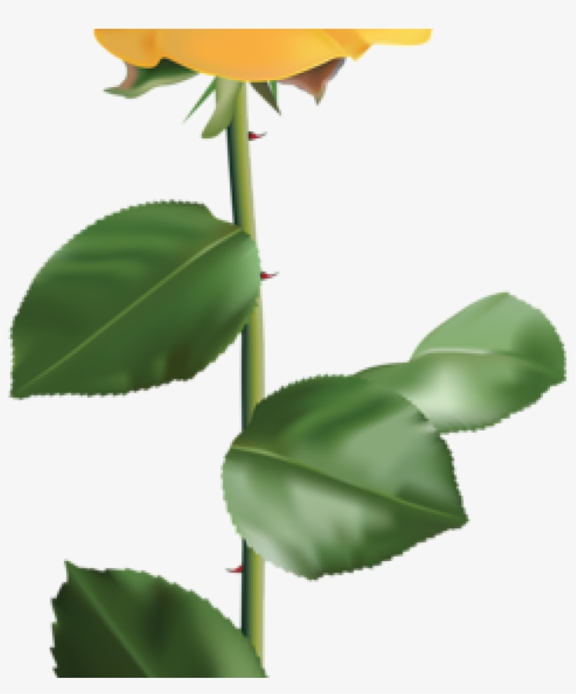 Yellow Rose Clipart Vintage Yellow Rose Encode Clipart - Transparent Yellow Flower Png, transparent png download