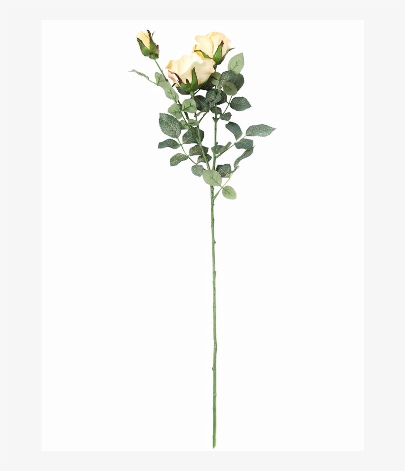 Yellow Artificial Rose - Garden Roses, transparent png download