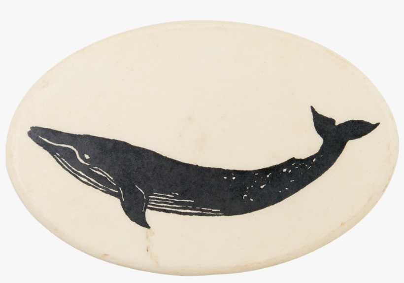 Blue Whale Art Button Museum - Humpback Whale, transparent png download