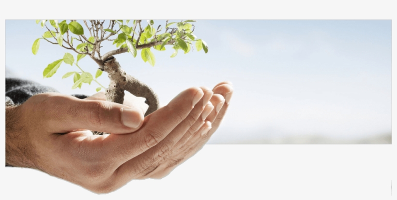 Banner Environmental Science And Natural Resources Transparent Png 960x438 Free Download On Nicepng