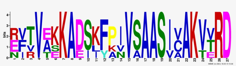 Png Logos Require Convert From Imagemagick - Sequence Logo, transparent png download