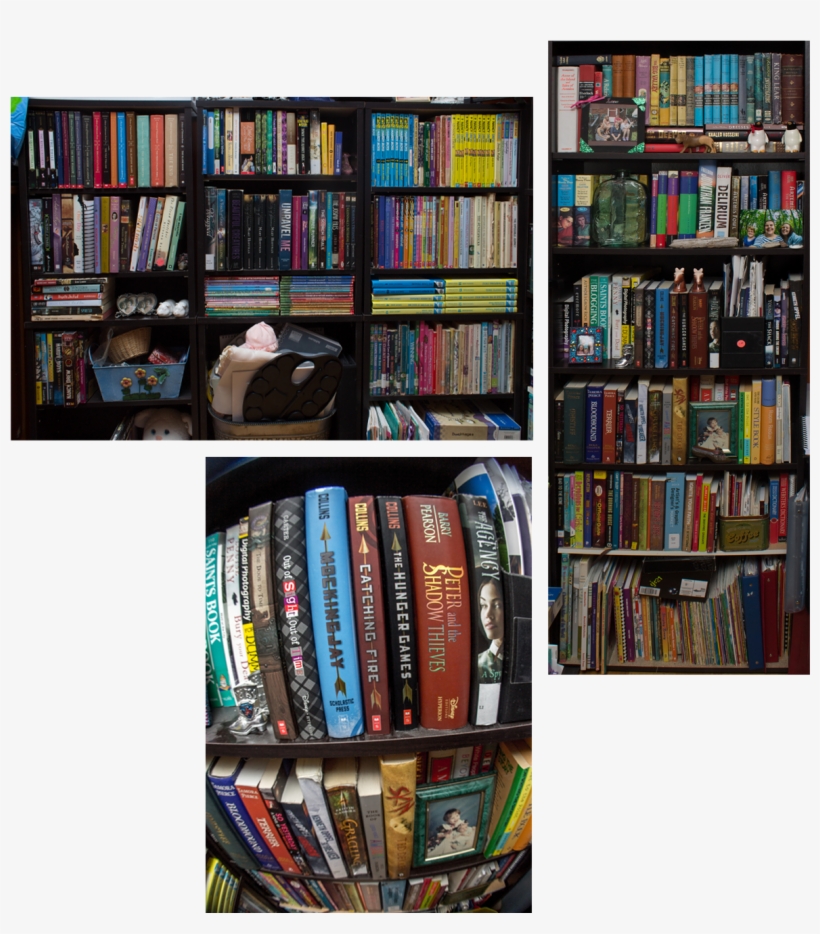 Also, I Have Multiple Bookshelves That Line The Corner - Book Cover, transparent png download