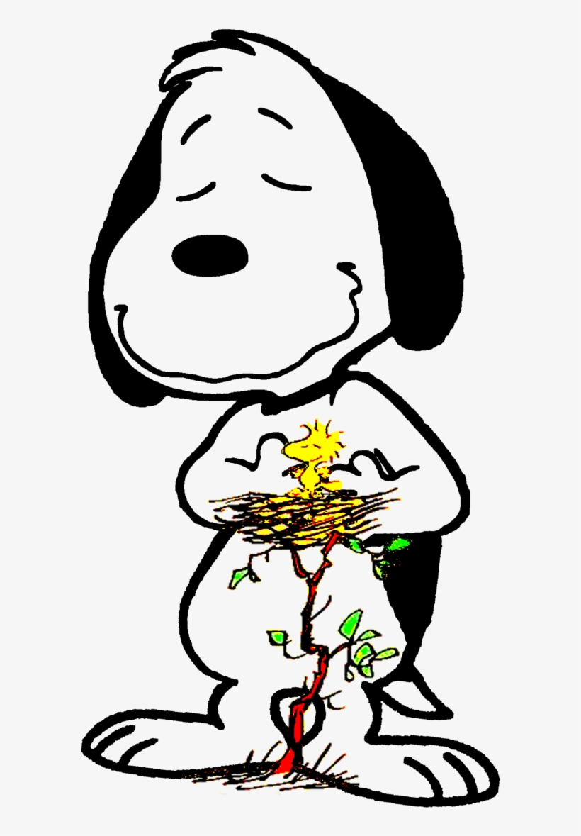 O Grande Amigo E Protetor Do Woodstock By Bradsnoopy97 - Woodstock Peanuts, transparent png download