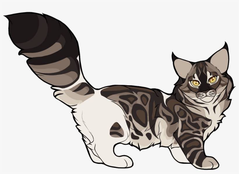 Domestic Short-haired Cat, transparent png download