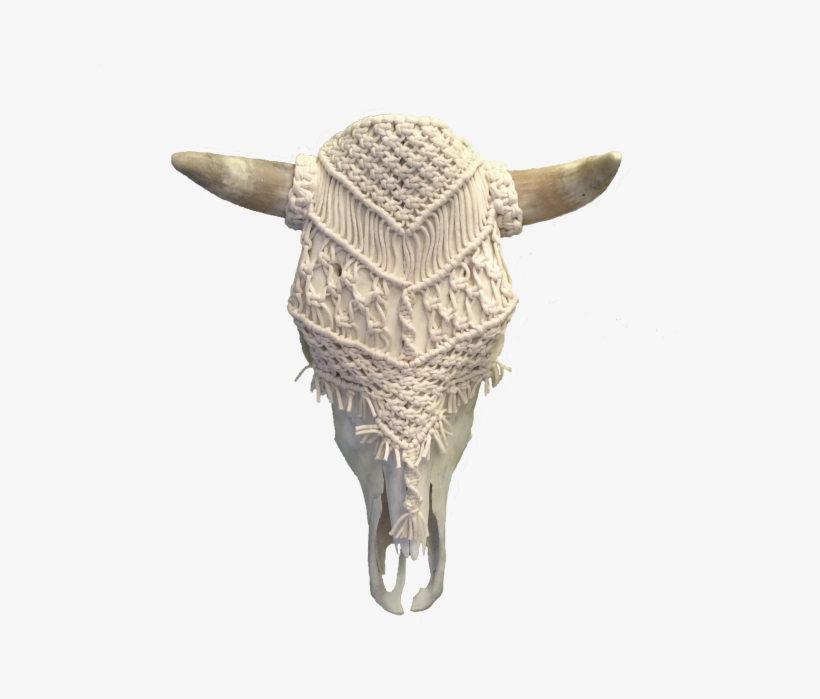 Armadillo, transparent png download