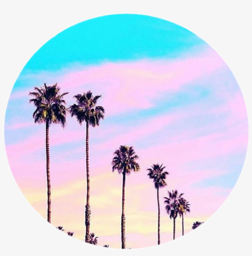 Circle Tumblr Palmeras Palmera Aestheticcircle Aestheti - Imagenes Tumblr De Palmeras, transparent png download