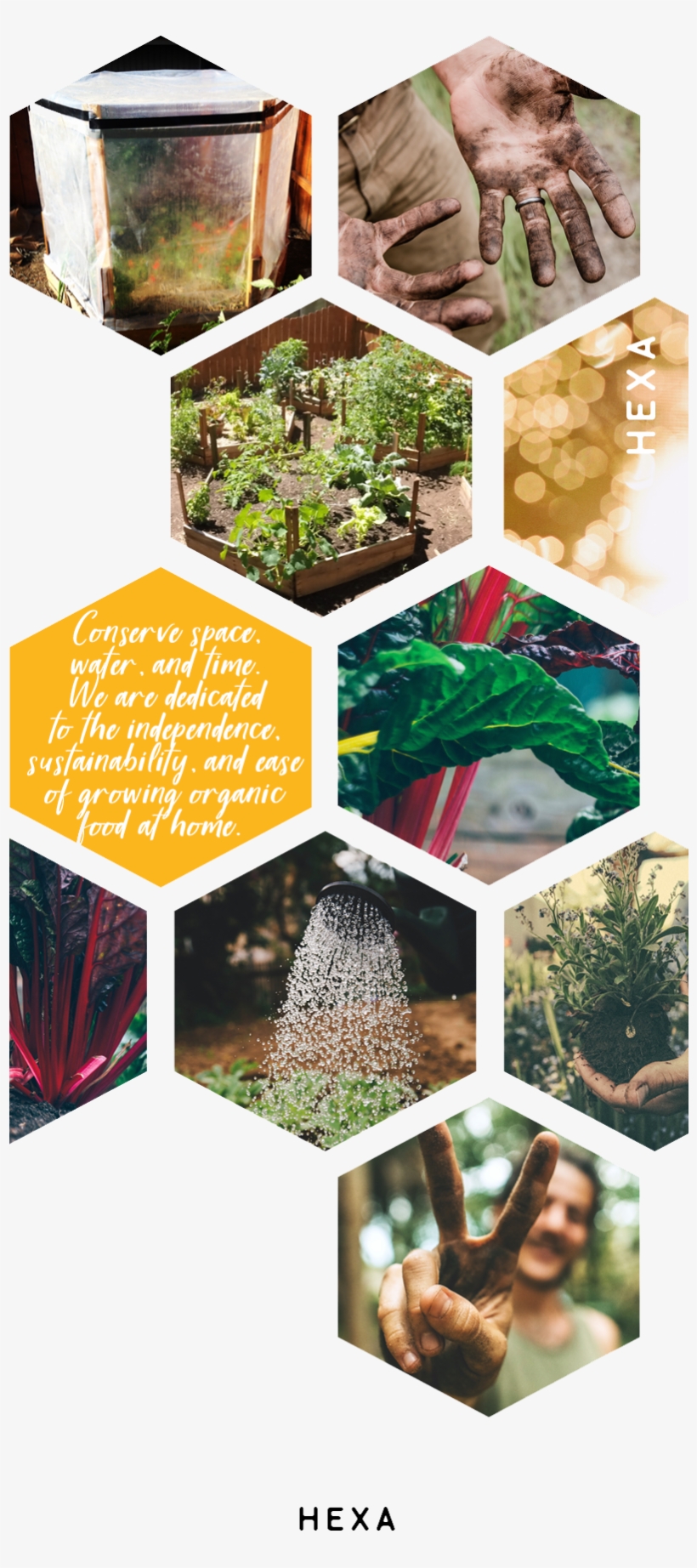 Hexa Our Gardens Raised Beds Copy - Christmas Tree, transparent png download