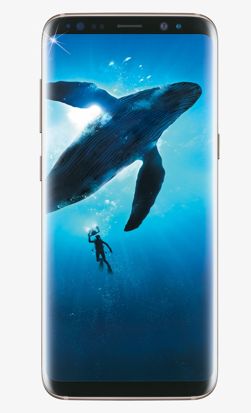 Samsung Galaxy S8 Png - Samsung Galaxy S8 Price In India, transparent png download