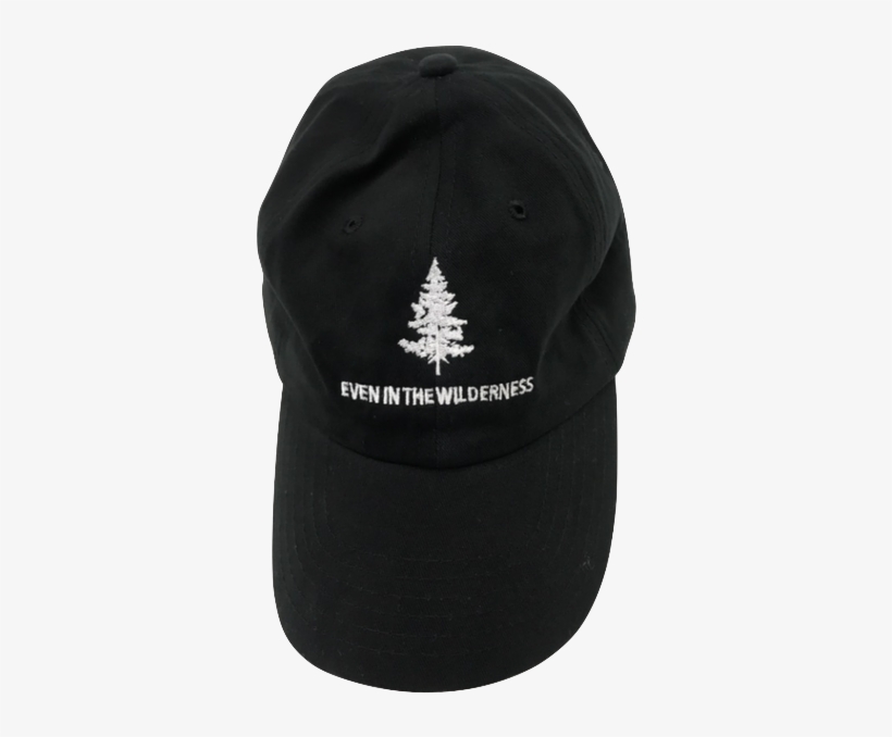 Wilderness Dad Hat, transparent png download
