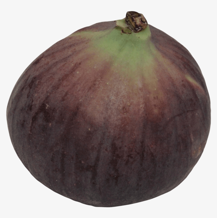 Free Png Fig Png - Common Fig, transparent png download