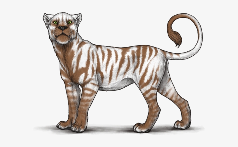 245prqp - Rare Marks In Lions, transparent png download