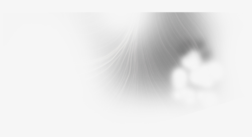 Lineas Destello - Monochrome, transparent png download