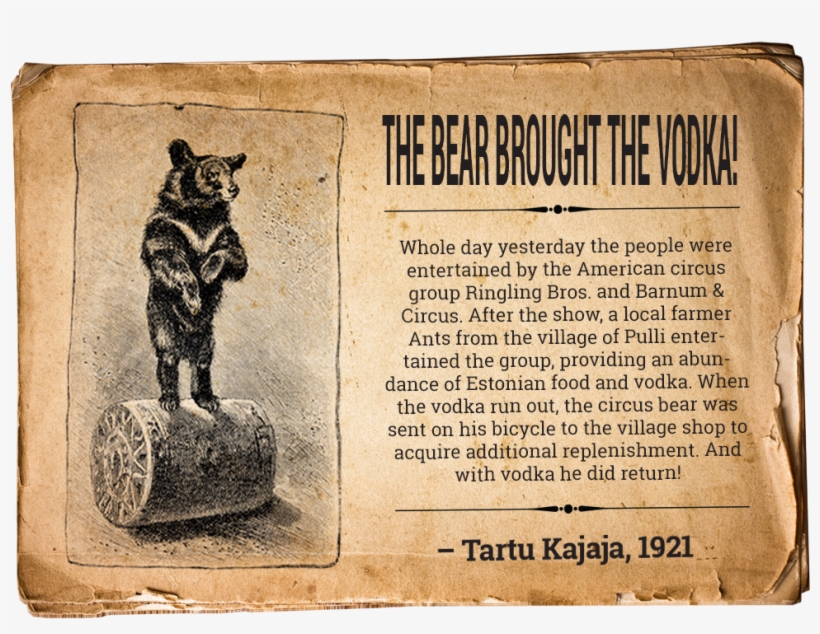 First Slide - Black Cat, transparent png download