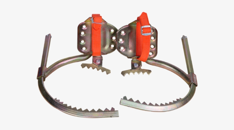 Wood Pole Climber Tree Climbing Shoes With Sharp Teeth - เครื่องมือ ปี น ต้นไม้, transparent png download