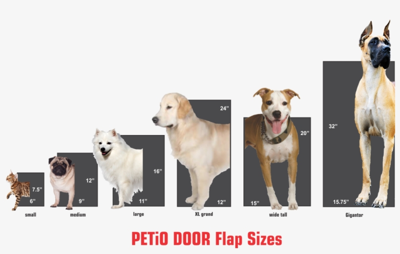 Petio Door Is The Ultimate All In One Pet Door Solution - American Staffordshire Terrier, transparent png download